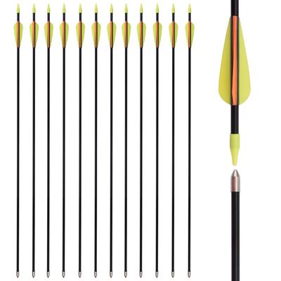 28 Inch Recurve Bow Youth Archery Practice Fiberglass Arrows for Beginners Kids Women Outdoor (Pack of 12)