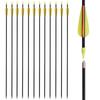 26 Inch Fiberglass Youth Arrows Archery Target Kids Recurve Bow Children Practice for Beginners Outdoor (Pack of 12) view 1