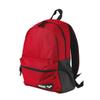 ARENA Team 30 Backpack Unisex Travel Daypack for Men and Women, Gym Training Gear Equipment Bag for Swimmers, 30 Liters, Red Melange view 1
