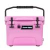 Frosted Frog 20 Quart Ice Chest Heavy Duty High Performance Roto-Molded Commercial Grade Insulated Cooler (Pink) view 1