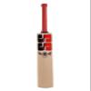 SS T20 Legend Club Kashmir Willow Premium Cricket bat - Mens Size (Limited Edition) view 1