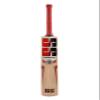 SS T20 Legend Club Kashmir Willow Premium Cricket bat - Mens Size (Limited Edition) view 2