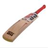 SS T20 Legend Club Kashmir Willow Premium Cricket bat - Mens Size (Limited Edition) view 3