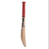 SS T20 Legend Club Kashmir Willow Premium Cricket bat - Mens Size (Limited Edition) view 4