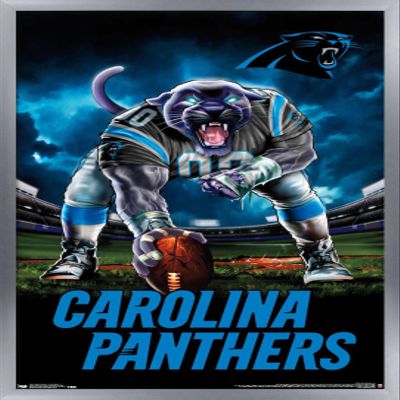 Trends International NFL Carolina Panthers - 3 Point Stance 19 Wall Poster, 22.375" x 34", Silver Framed Version