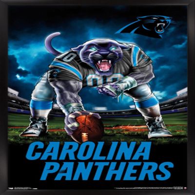 Trends International NFL Carolina Panthers - 3 Point Stance 19 Wall Poster, 22.375" x 34", Black Framed Version