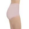 Vanity Fair Women's Underwear Perfectly Yours Traditional Nylon Brief Panties view 3