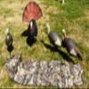 OkeyTrail 3 Pocket Turkey Decoy Bag can Carry 3 Full Size Turkey decoys and More view 3