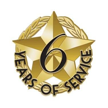 Crown Awards 1" x1" 6 Year of Service Recognition Lapel Pins, Star-Shaped 6 Year of Service Gold Lapel Pins 100 Pack Prime