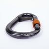 Cassin Core Belay Lock view 3