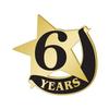 Crown Awards 1" x1" 6 Year Recognition Lapel Pins, Star-Shaped 6 Year Recognition Gold Lapel Pins 10 Pack Prime view 1
