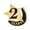 Crown Awards 1" x1" 2 Year Recognition Lapel Pins, Star-Shaped 2 Year Recognition Gold Lapel Pins 30 Pack Prime view 1