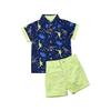 Baby Kids Boy Gentleman Suits, Flamingo Printed Button Down Shirt +Pink Shorts Set 2Pcs Outfits Set (Fluorescent Green+Blue, 18-24M) view 1