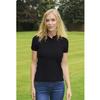 Absolute Apparel Womens/Ladies Diva Polo (L) (White) view 2