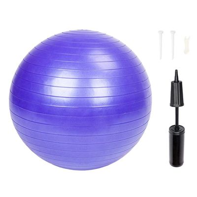 E-Holistic LifeStyle 85cm 1600g Gym/Household Explosion-Proof Thicken Yoga Exercise Ball
