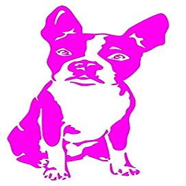 Boston Terrier Dog - Neon Pink Dye Cut Decal for Cars Bumpers Windows Notebooks etc