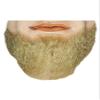 Face Beard view 1