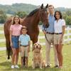 CARLOS DIAZ Designer Genuine Leather Waxed Embroidered Gaucho Polo Horse Bridle Browband (Cob 15 inches) view 4