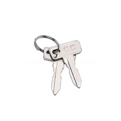 Club Car Replacement Golf Cart Keys QTY 100 (Silver