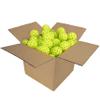 Onix Pickleball Outdoor Pickleball Balls view 1