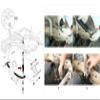 Club Car Rear Shock Absorber for Club Car Ds Electric 1988-up,G&E 2004-up Precedent OEM#102706401 (Two Pieces) view 3