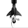 STINGRAY HYDROFOILS StingRay AIRO-1 AIRO Hydrofoil , Black view 3