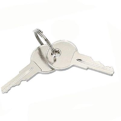 EZGO Replacement Golf Cart Keys QTY 100 (Silver