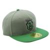 ABYstyle Harry Potter - Casquette Snapback - Gris & Vert- Serpentard Grey, Green view 1