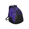 DeMarini Voodoo Junior Backpack - Purple view 1