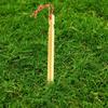 AKOAK 6 Pcs Ultra-Light Tent Nails, Aluminum Alloy Tent Stakes with Wind Ropes for Outdoor Camping(Gold) view 4