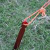 AKOAK 6 Pcs Ultra-Light Tent Nails, Aluminum Alloy Tent Stakes with Wind Ropes for Outdoor Camping(red) view 2