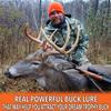 Nationwide Scents Deer Urine Wick for Hunting - Hunting Scent Buck Attractant for Whitetail Deer - Doe Pee Wick for Scent Drags - Rut Scent Buck Lure view 2
