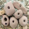 Climbing Holds Pack- 6 Large Bolt-on Holds with Various Difficulty (Brown) view 1