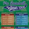 Push Pin Travel Maps Customizable Posters & Prints - Baseball Stadiums Bucket List - Solid Wood Cherry - Personalized Framed Pin Map, Includes 150 Pins - Handcrafted in USA - 13" x 23.5" view 3