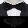 TIE G Men's Glitter Velvet Bow Tie + Pocket Square Set in Gift Box for Wedding, Party : Glittering Effects, Unisex Design (Galaxy Silver) view 3
