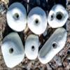Climbing Holds Pack- 6 Large Bolt-on Holds with Various Difficulty (White) view 1