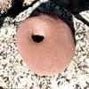 Indented Sloper- Bold-On Climbing Hold (Brown) view 1