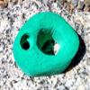 Finger Hold- Bolt-On Climbing Hold (Green) view 1