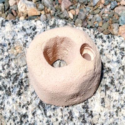 Finger Hold- Bolt-On Climbing Hold (Tan)