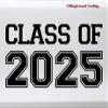 Minglewood Trading White - Class of 2025 Vinyl Sticker - Graduate High School College- 15w x 7.5h inches Die Cut Decal view 1