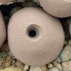 Sloper- Bold-On Climbing Hold (Brown) view 1