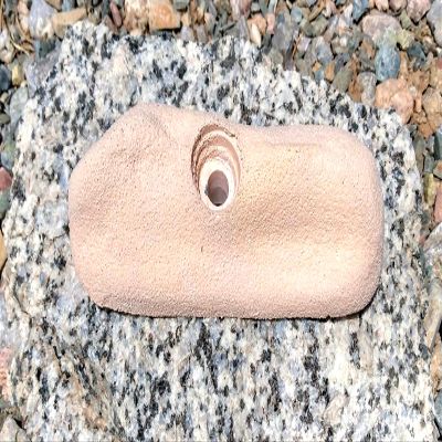 Pinch- Bold-On Climbing Hold (tan)