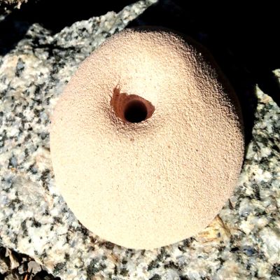 Indented Sloper- Bold-On Climbing Hold (tan)