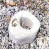 Finger Hold- Bolt-On Climbing Hold (White) view 1