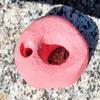 Finger Hold- Bolt-On Climbing Hold (red) view 1