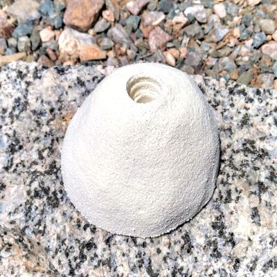 Sloper- Bold-On Climbing Hold (White)