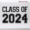 Gold - Class of 2024 Vinyl Sticker - Graduate High School College- 10w x 5h inches Die Cut Decal view 1