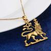 African Ethiopian Lion Pendant Necklace Lion of Judah Jewelry Charms Ethnic Gifts view 3