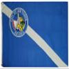 American Wholesale Superstore 3x5 City of Las Vegas Nevada 100D Woven Poly Nylon Flag 5x3 Banner Grommets Heavy Duty (RUF) view 1