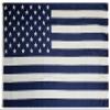 3x5 Blue & White USA 50 Star American 100D Woven Poly Nylon Flag 5x3 Banner Grommets Heavy Duty (RUF)